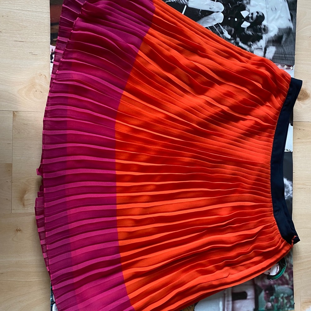 Brand New Pleated Skirt